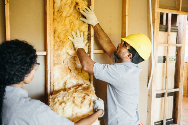 Best Radiant Barrier Insulation  in Crystal, MN